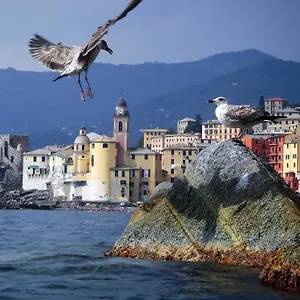 Il Veliero Appartamento
